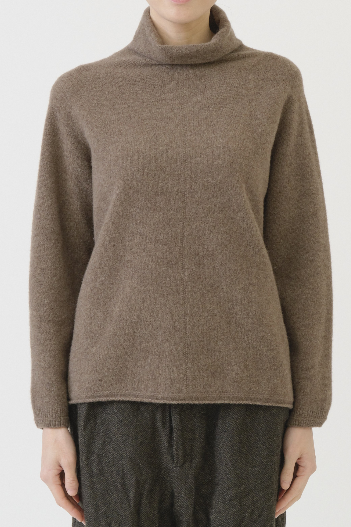 FW LOOSE TURTLENECK PULL