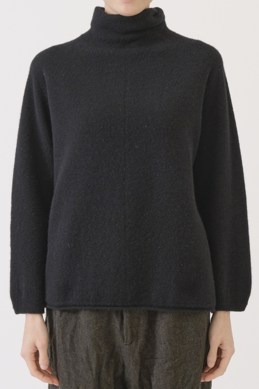 FW LOOSE TURTLENECK PULL