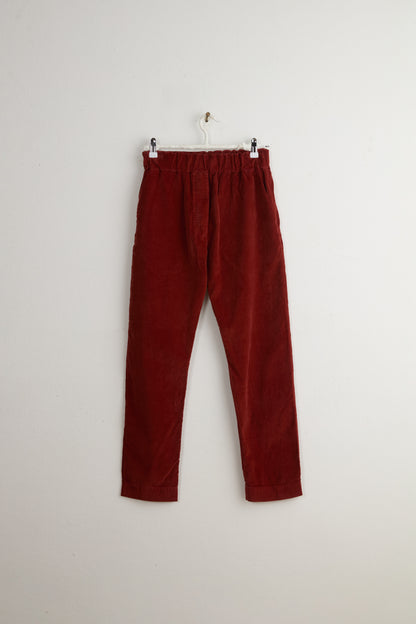 SLIM TROUSERS VELVET