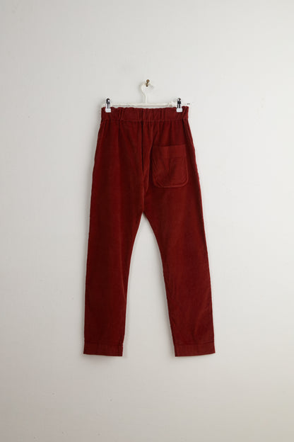 SLIM TROUSERS VELVET